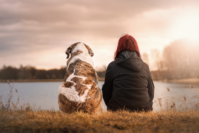 make money sitting with pets